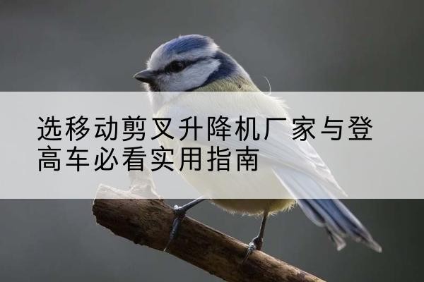 丹徒电动升降机厂家-选移动剪叉升降机厂家与登高车必看实用指南