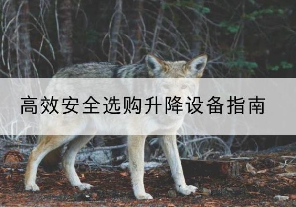 丹徒升降货梯厂家推荐-*安全选购升降设备指南