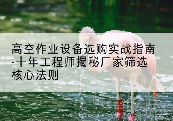 丹徒剪叉式升降机厂家-高空作业设备选购实战指南-十年工程师揭秘厂家筛选核心法则